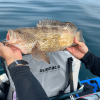 27QT Fish Bag Cooler With Flat Bottom - White