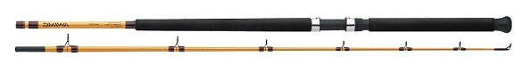 🎣Daiwa FT Surf Spinning Rod – 9' 2-Piece Medium (M)