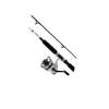 Daiwa Combo D-Wave Spin Combo 1BB 10' 2pc M