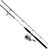 Daiwa Combo D-Wave Spin Combo 1BB 10' 2pc M