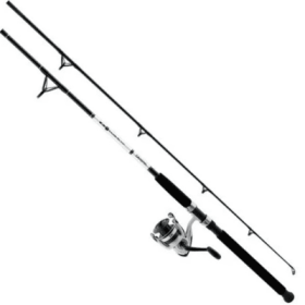 Daiwa Combo D-Wave Spin Combo 1BB 10' 2pc M